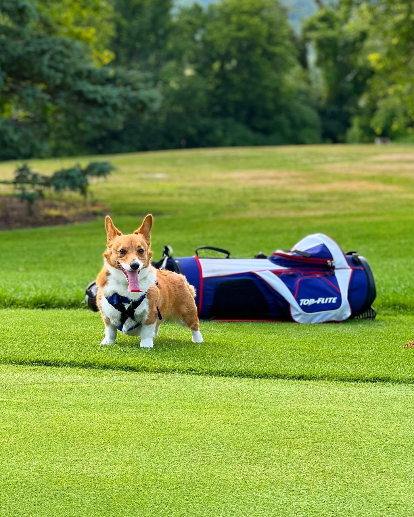 Corgi Caddie Ball Marker - Crux Golf